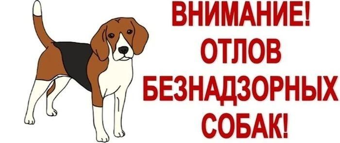 В Н И М А Н И Ю ЖИТЕЛЕЙ !!!
