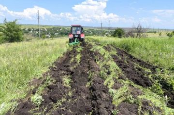 Устройство минерализованных полос проводится на территории пгт Бирюково