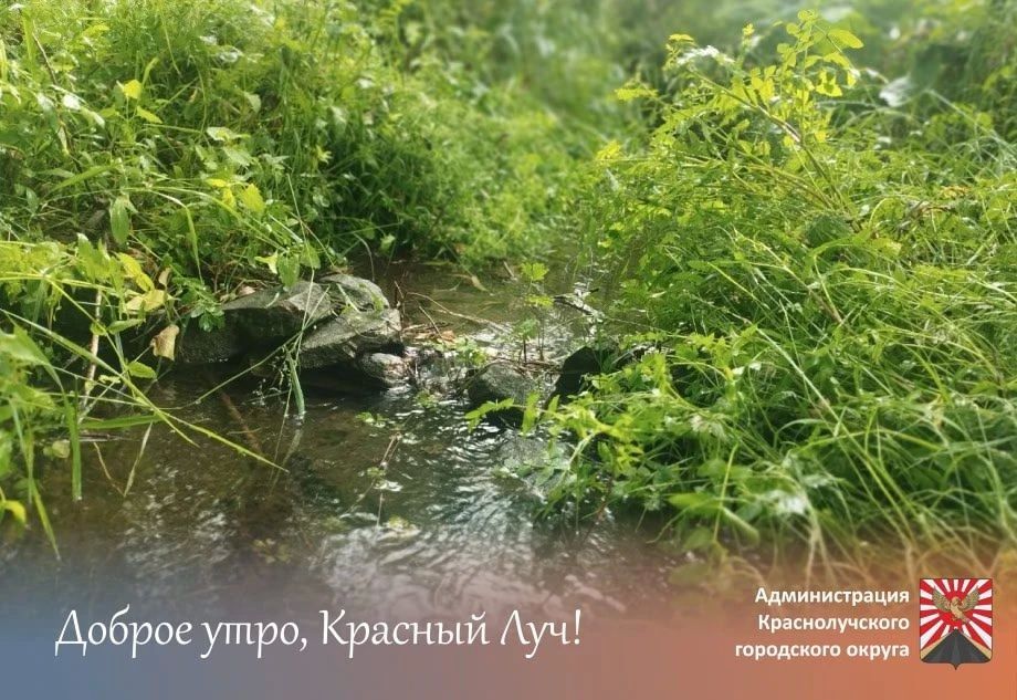 Доброе утро, краснолучане и гости города!