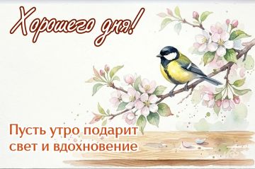 ������� ����� - 17 ����.. ������� � ������: