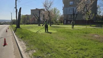 Глава Луганска поручила контролировать покос травы