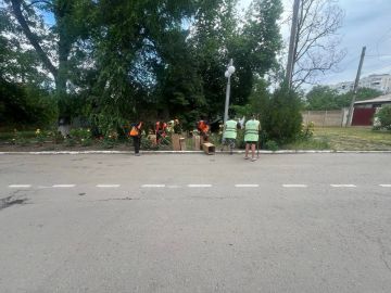 Продолжаем системную работу по благоустройству наших скверов, парков, пешеходных зон и придорожных территорий