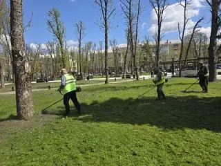 Глава Луганска поручила взять под жесткий контроль покос травы