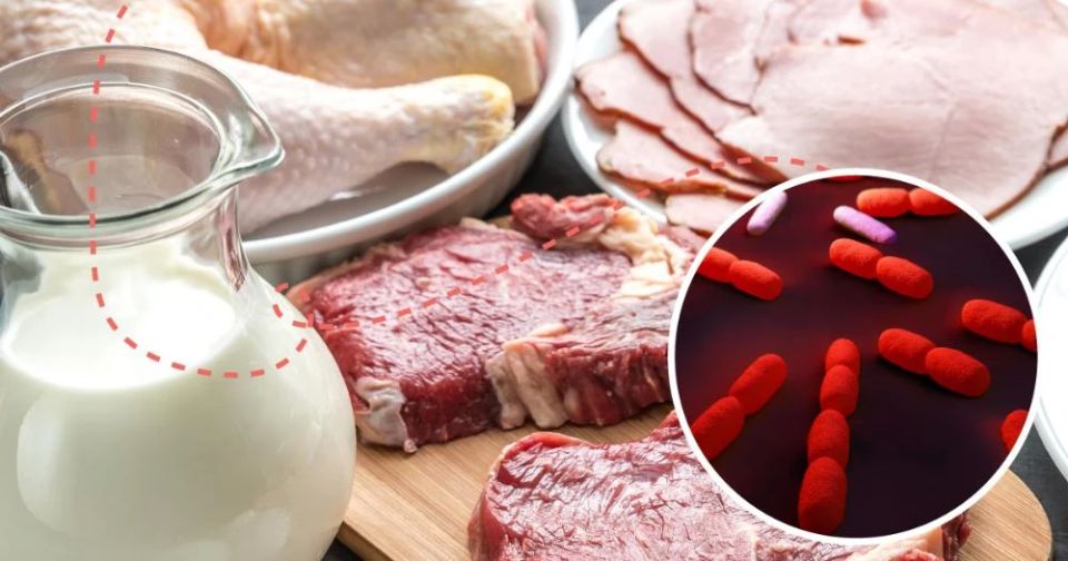 Профилактика листериоза. Некоторые продукты, в том числе готовые к употреблению охлажденные продукты, не пастеризованное (сырое) молоко и продукты, приготовленные из не пастеризованного молока, часто могут быть заражены...