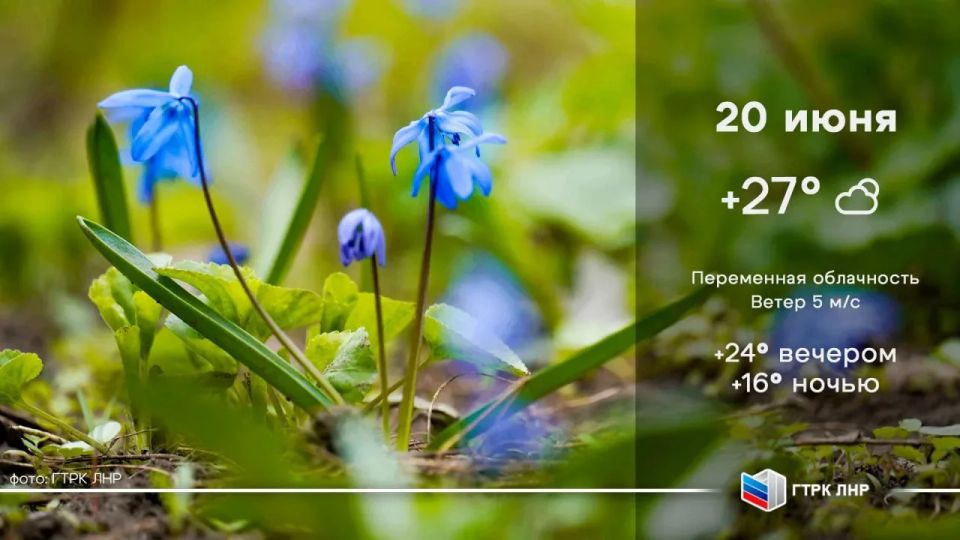 Доброе утро, Луганская Народная Республика!