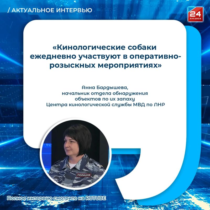33 верных друга: как собаки помогают правоохранителям