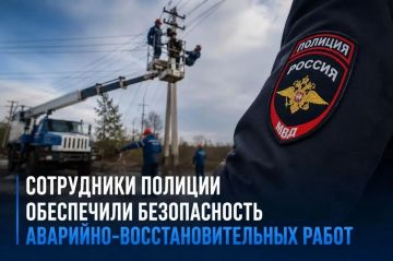 В Троицком муниципальном округе сотрудники полиции обеспечили безопасность аварийно-восстановительных работ по восстановлению электроснабжения