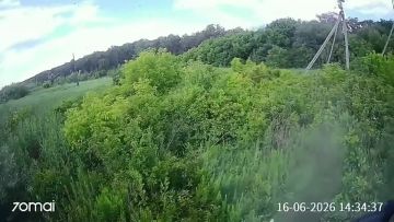 Наш грузовик чудом уворачивается от летящего в лоб дрона где-то на трассе под Новоайдаром