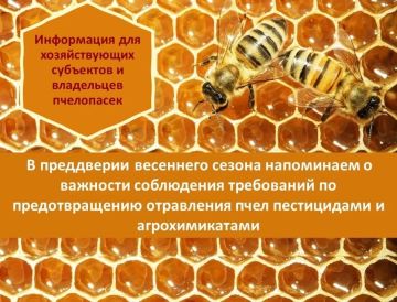 Безопасность пчёл — общая ответственность аграриев и пчеловодов