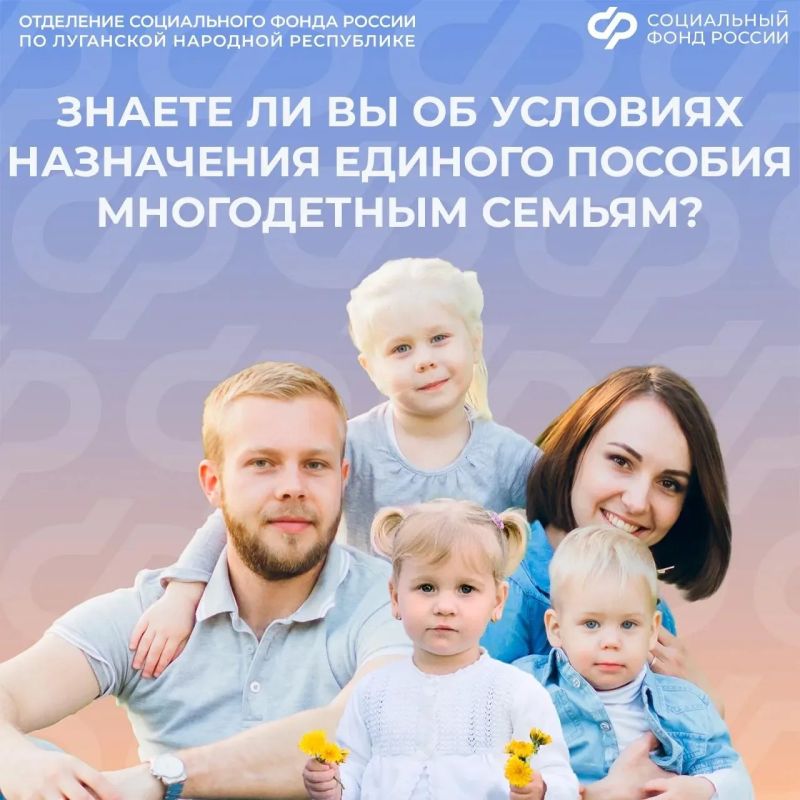Особые условия назначения единого пособия для многодетных семей из ЛНР