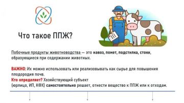 Памятка фермеру. Что делать с навозом
