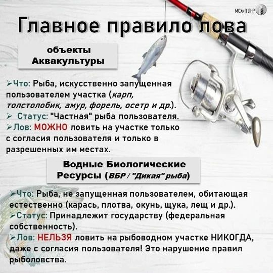 В связи с частыми вопросами от рыболовов-любителей, Минсельхоз ЛНР публикует разъяснения о правилах пребывания на рыбоводных участках и водоемах общего пользования