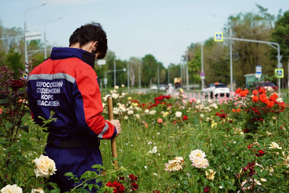 Забота о городе начинается с простых дел