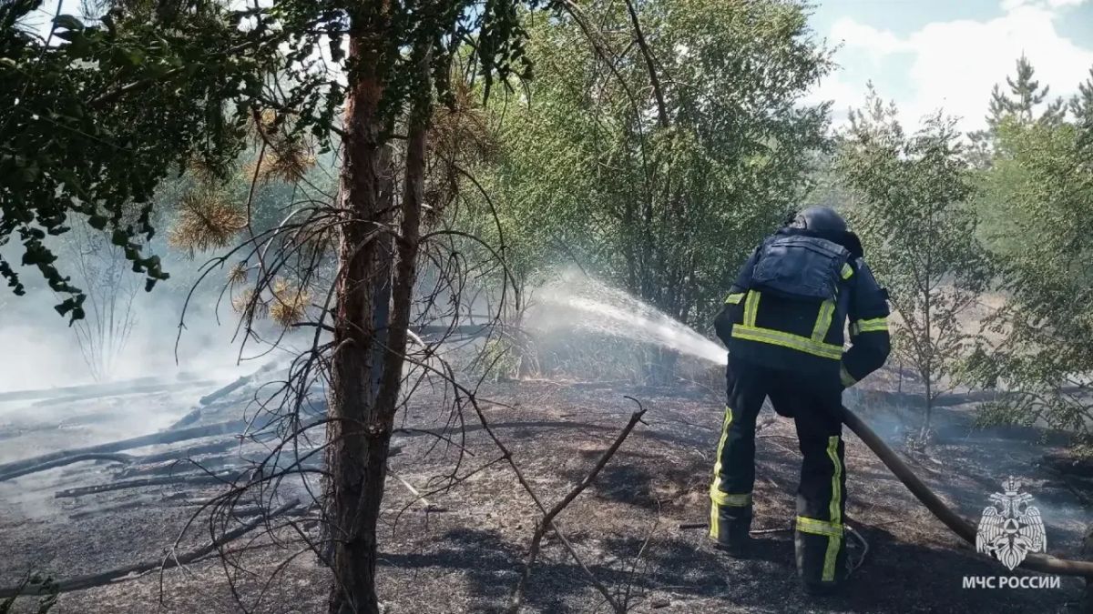 В ЛНР за сутки ликвидировали 7 ландшафтных пожаров