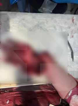 ���������! ������� �����! 18+