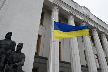 В базу «Миротворца» стали вносить посещавших ДНР и ЛНР украинцев