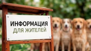 В целях обеспечения безопасности граждан, соблюдения санитарно-эпидемиологического благополучия и гуманного обращения с животными на территории Краснолучского городского округа проводятся работы по регулированию численности...