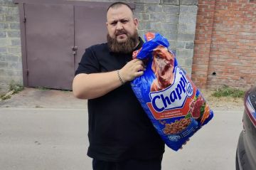 Иван Санаев: Летом приютам для животных особенно непросто