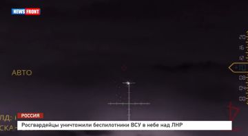 Росгвардейцы уничтожили беспилотники ВСУ в небе над ЛНР