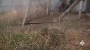 Пал сухой травы: опасность, которую можно избежать!