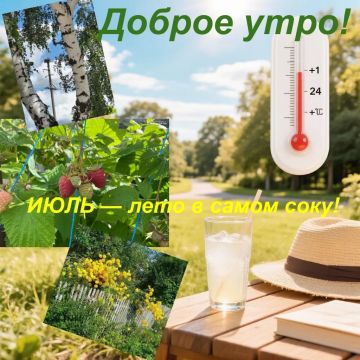 Доброе утро! Среда, 1 июля — лето в самом соку!