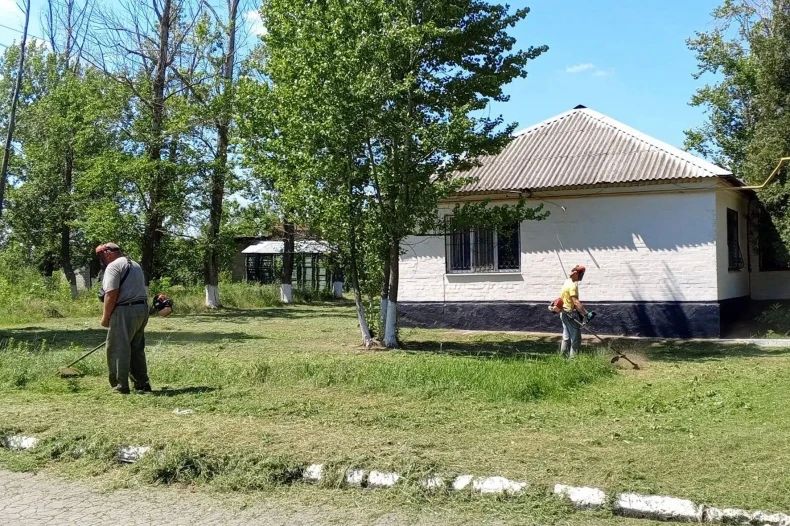 В Новоборовицах провели очередной покос травы и сорной растительности