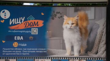 НКО «Территория добра» и ЛИЦ открыли в центре Луганска фотовыставку животных из приюта