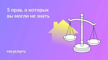 Запомните и поделитесь: эти права пригодятся в обычной жизни