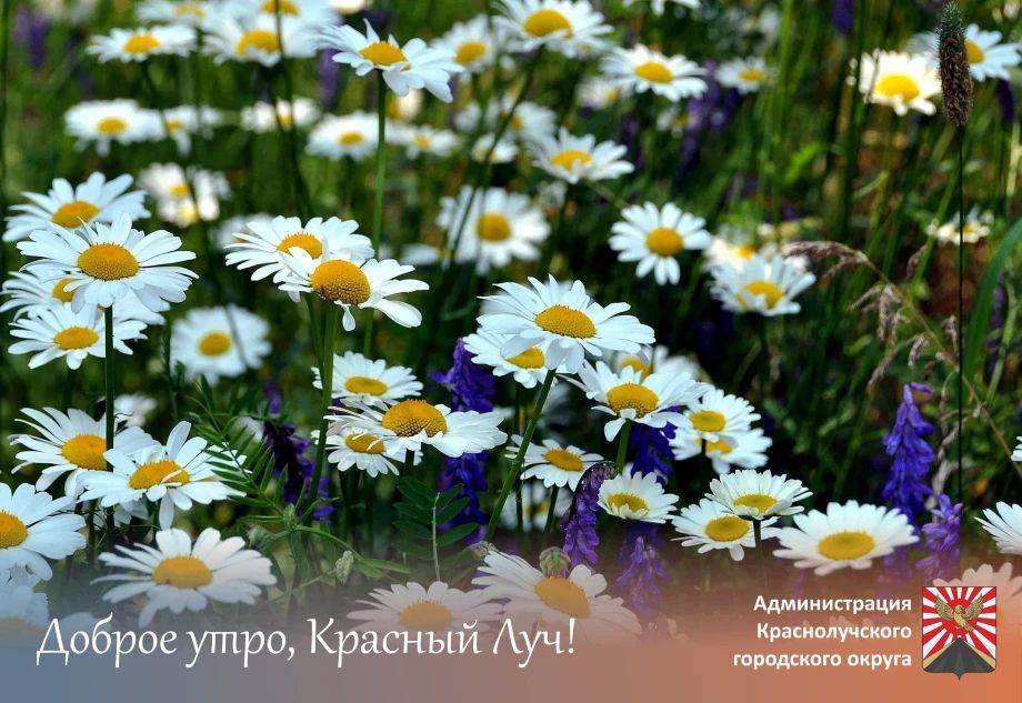 Доброе утро, краснолучане!
