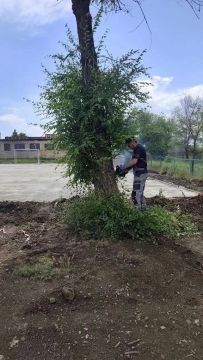 � ������� ������� ������ �������
