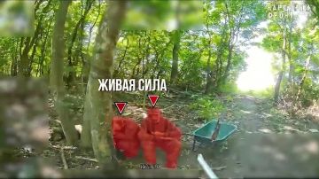 �������� ���������