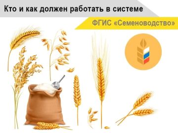Разбираемся с ФГИС «Семеноводство»: Приглашаем на вебинар, где вы узнаете всё о производстве семян для собственных нужд в условиях ЛНР