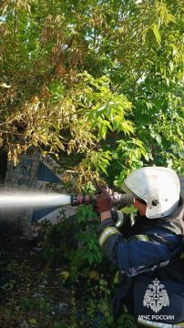 Спасатели МЧС России в Лисичанске отстояли от огня имущество граждан