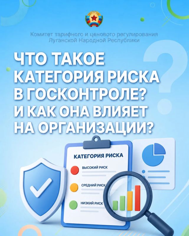 Что такое категория риска в госконтроле и как она влияет на организации?
