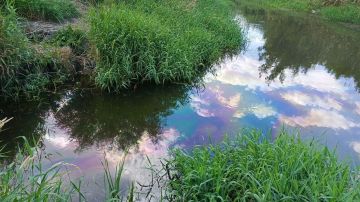 В Минприроды ЛНР считают, что причиной загрязнения реки Лугань могло стать ДТП