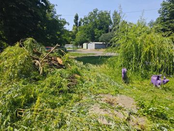 В Ровеньках по обращению жителей ликвидировали последствия падения части дерева