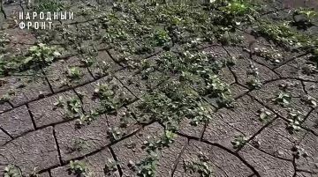 ���� �������� �������: �������� ����� �������� ������ �������� �����������!