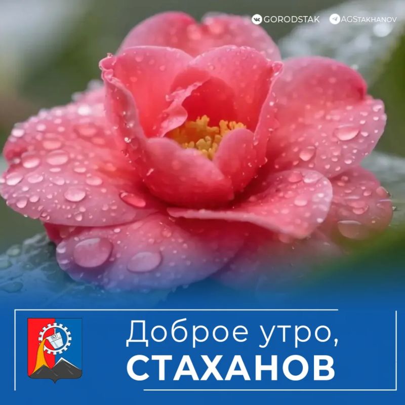 Доброе утро, Стаханов!. Пятница пришла! Рабочая неделя официально вышла на финишную прямую