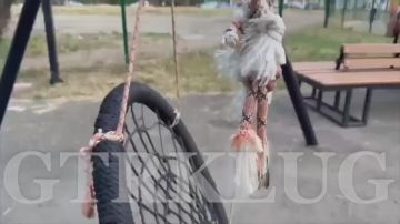 �� ������ ������� � ��� ������ ������