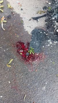 �� ������� ������� ���� �������� ����� ����������� ����