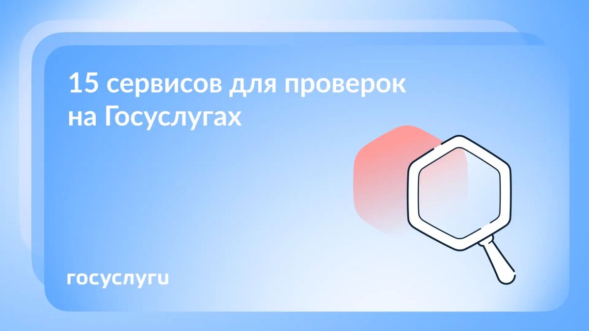 Статусы, выплаты, уведомления: что можно проверить на Госуслугах