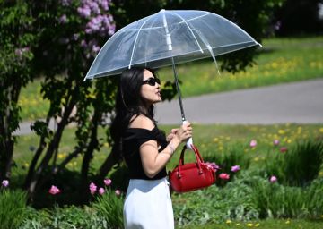 � ��� � ����������� ����� ������������ �� 28 �������� �����