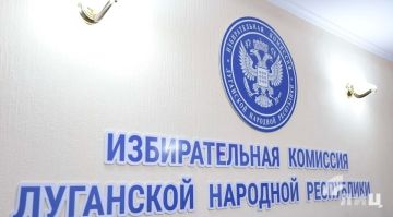 Дистанционное электронное голосование в ЛНР в 2026 году проводиться не будет — избирком