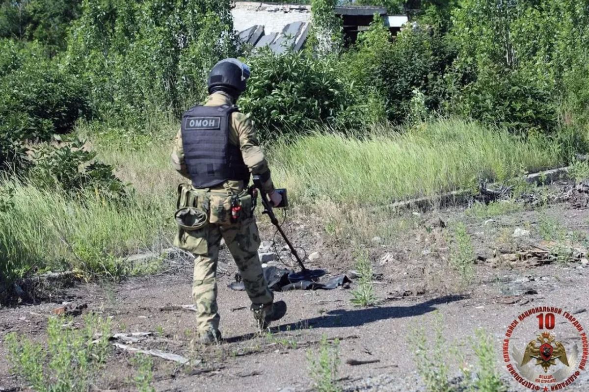 Тайник с боеприпасами обнаружили в ЛНР