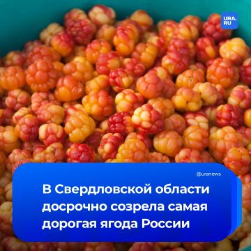 �������� ����� ������� �� ����� ������ �����