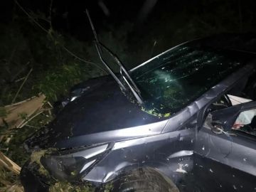 ����� ������� ���������� ���� ����� ��������� ���: ���� �������� � �������