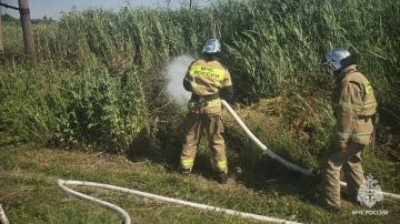 Спасатели МЧС России за выходные потушил 47 пожаров