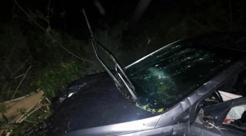 ���� ������� �����, ������� �������� ������� ��-�� ���� ��� �� ��� � ��������