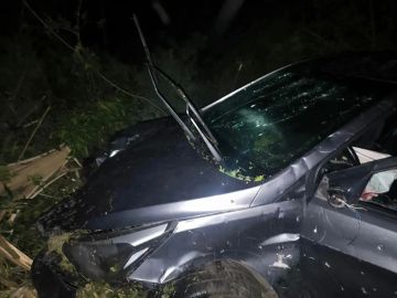 ������ ��������: ����� ������� ��� ���������� ��������� ���� ����������