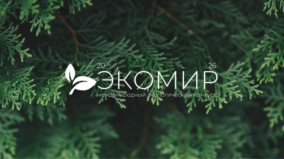 Твой проект может стать примером для всей страны
